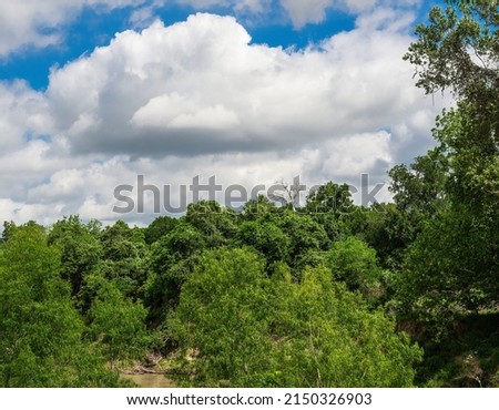 Beautiful clouds and trees over a murky river