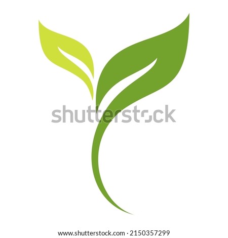 Leaves plant icon vector design symbol illustration for logo