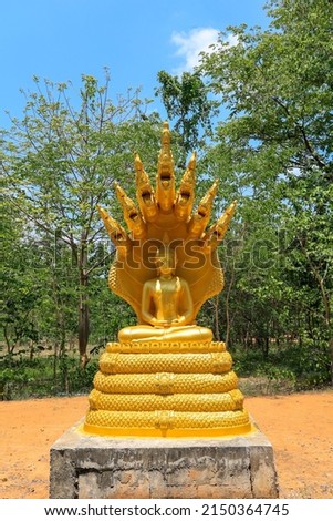 Saturday's Buddha image is "Pang Nak Prok" in the Ariyaboth Buddha image. sat cross-legged, with a serpent curling up in a circle spread over the head that Thai Buddhists respect