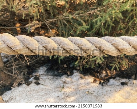 Thick rope on the background of coniferous plants