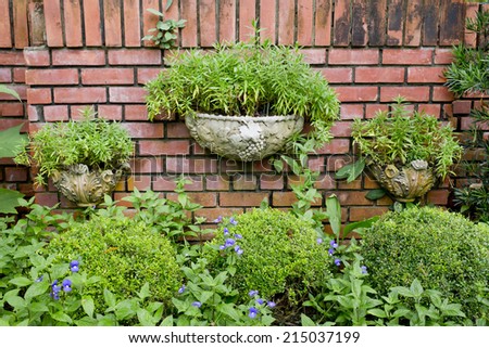 Plants on a red brick wall