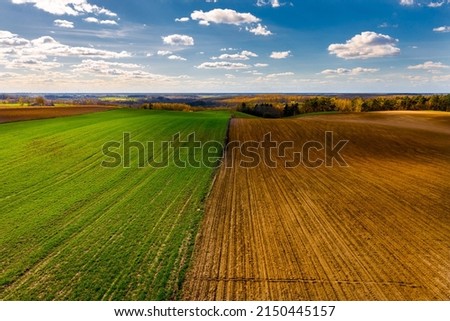 View on countryside hills  with Half the field is green and half gold rows of soil before planting prepared for spring in golden hour before sunset.