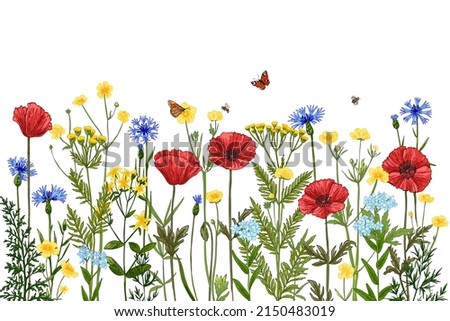 Wild herbs. Wildflowers in summer. Red poppies, cornflowers, forget-me-nots, yellow buttercups, ferns, butterflies, bees Royalty-Free Stock Photo #2150483019