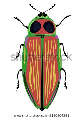 Euchroma gigantea insect vector illustration