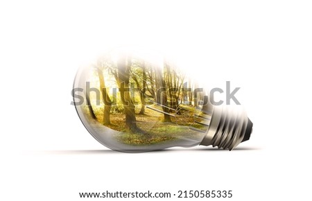 Nature Forest inside LightBulb laying on White Background. Renewable Energy Concept and Our Planet saving .