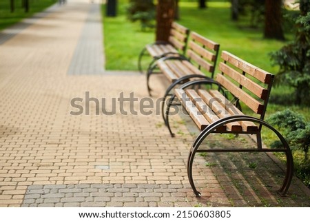 wooden benches in the park. Wooden benches in the city park. Benches in a summer park with old trees and a path. Comfortable benches for rest in the park. Royalty-Free Stock Photo #2150603805