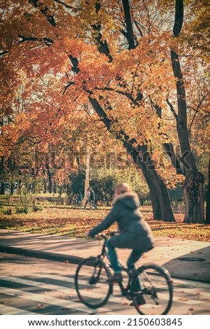 Young girl in jacket riding bike in lit by autumn sun park, bright colorful trees, sunny day, fall trees foliage background. Healthy lifestyle, leisure activity
