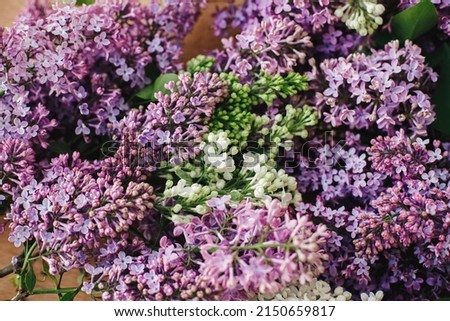 Beautiful lilac flowers on wooden background top view. Colorful purple and white lilac branches on rustic table. Spring countryside still life, floral image. Happy mothers day