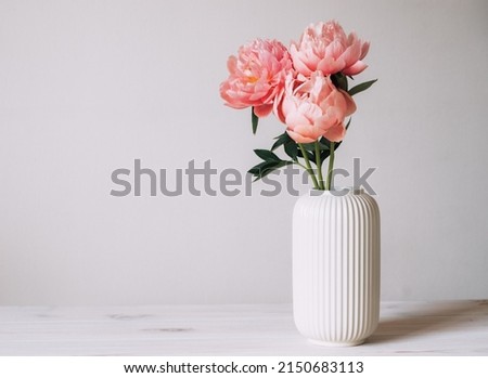 Beautiful bunch of fresh Coral Charm peonies in full bloom in vase against white background. Copy space for text. Minimalist floral still life with blooming flowers. Royalty-Free Stock Photo #2150683113