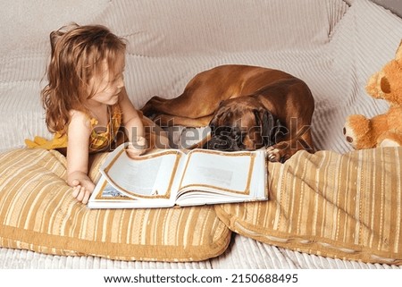  Little girl with wavy hair at home on the couch with her big red dog German boxer, the girl reads a book to the dog and shows pictures
