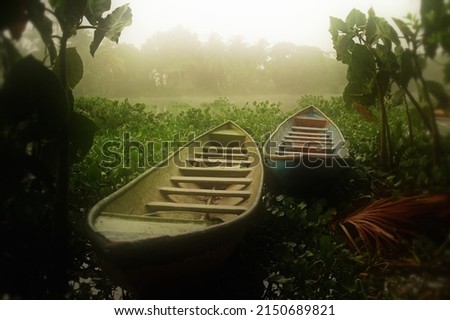 Indigenous Warao style canoe parked on riverside in Delta Amacuro, Venezuella on a foggy morning with green vegetation around.