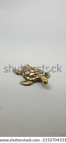 Gold finish of turtle brass with white background