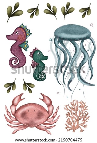 Sea set consisting of seahorse jellyfish and fish, underwater world, set of sea residents