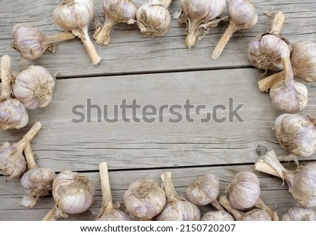 Frame from heads of garlic on vintage wooden background. Flat lay composition. Top view with copy space. Layout with free text space. Rustic style.