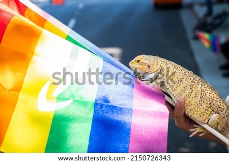 Photo of a hand holding a pet iguana on an Amazon rainbow flag at Silicon Valley Pride.