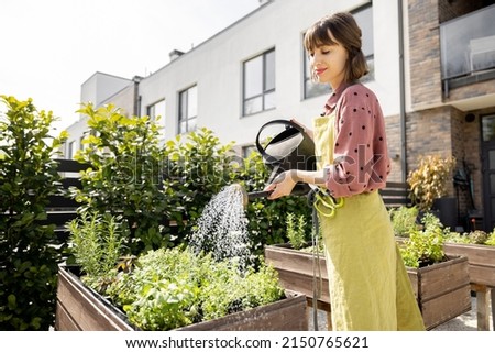 Woman watering fresh herbs growing at home vegetable garden. Gardener taking care of plants at the backyard of her house. Concept of sustainability and growing organic Royalty-Free Stock Photo #2150765621