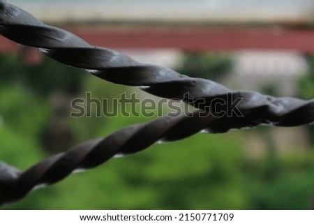the photo is focused on the window trellis, with the blur effect of the trees behind it, during the day from the bedroom window