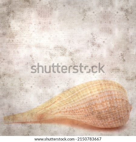Light brown-orange fig shell isolated on on white background
