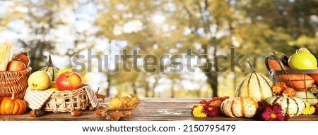 Baskets with gathered harvest on table in autumn garden