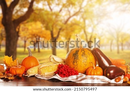 Heap of gathered harvest on table in autumn garden