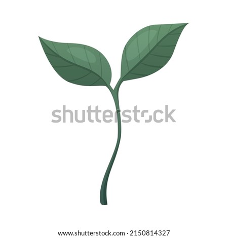 Small coffee plant sprout with green leaves cartoon vector illustration