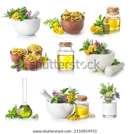 Set of nedicinal herbs in mortar and bottles isolated on white background. Herbal medicine concept. Royalty-Free Stock Photo #2150854931