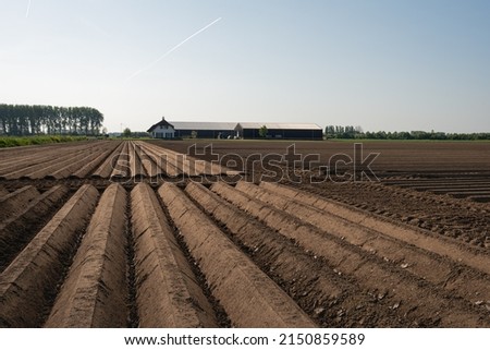 Converging clay ridges in a Dutch landscape. It is spring and the potatoes have recently been planted. In the background is a farm with barns. The photo was taken in the province of North Brabant. Royalty-Free Stock Photo #2150859589