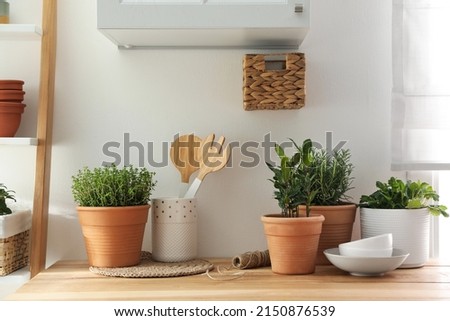 Different aromatic potted herbs on wooden table indoors Royalty-Free Stock Photo #2150876539