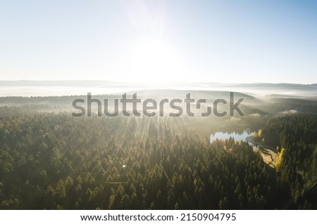 Aerial shot of a lake at sunrise in Saxony