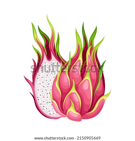 Half of Pitaya or Pitahaya Fruit of Cactus Species with White Flesh and Black, Crunchy Seed Vector Illustration