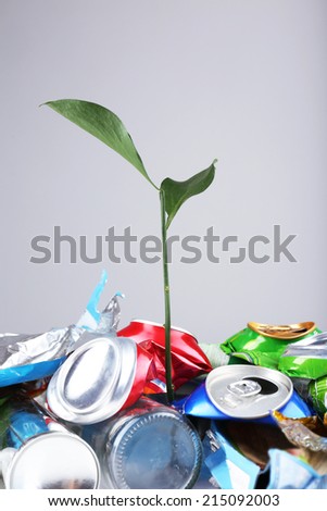 Green plant growing among cans on grey background