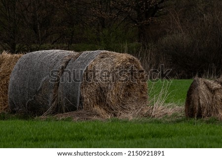 A selective focus shot of bales of hay in the field