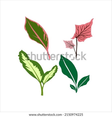 four of leaves illustration set