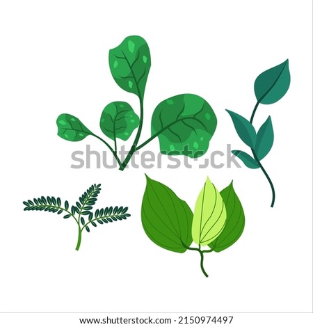 set of plant and leaf element in green color 