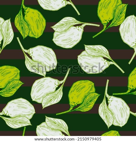 Seamless pattern engraved lemon on branch with leaves. Vintage background lime growing on twig in hand drawn style. Vector repeated color design texture for print, fabric, wrapping, wallpaper, tissue.