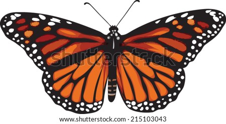 Butterfly Clip Art - Species: Monarch - Vector Image 