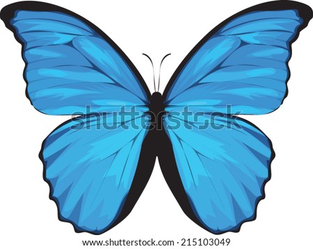 Butterfly Clip Art - Species: Blue Morpho - Vector Image 