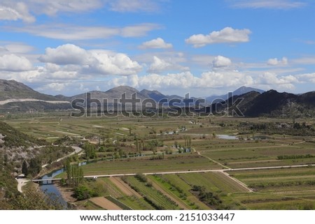 Vineyards by the river in the spring
