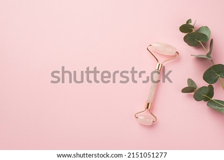 Skincare concept. Top view photo of eucalyptus branch and rose quartz roller on isolated pastel pink background with empty space
