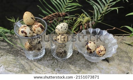 Quail eggs in a glass bowl colorful eggs, colorful eggs, diet food, Contains protein and omega, the concept of agriculture, animal husbandry, healthy food, nutrition, food photography, harvest.