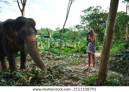 Its every photographers dream. Shot of a young photographer taking a picture of an Asian elephant.