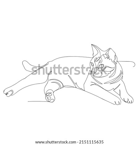 One cat lying on floor continuous line drawing images for background,logo,cartoon animals,graphic design,pattern,decoration,clip art,cats images,doodle arts,wallpaper,animals illustration.