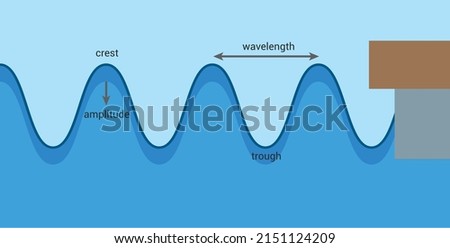 Label the parts of a transverse wave. Crest, trough, wavelength and amplitude of the wave. The anatomy of a wave vector illustration isolated on white background Royalty-Free Stock Photo #2151124209