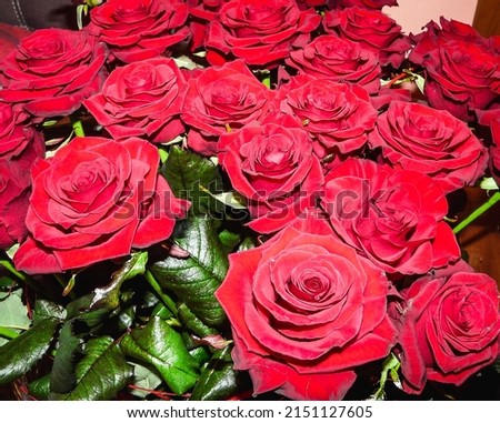 A beautiful big bouquet of red roses 