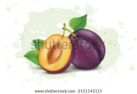 Fresh Plum fruits with green and half piece of plum fruit vector illustration isolated on white background Royalty-Free Stock Photo #2151142115