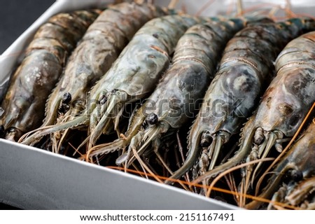 King prawns. Frozen shrimp. Seafood on the market. Fish delicacy. Ocean inhabitants. Tiger and king prawns are packed in a box Royalty-Free Stock Photo #2151167491