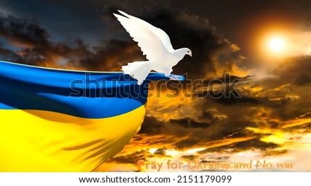 one hand holding a white dove flying in the sky and Ukraine flag background And sunset, For International Day of Peace, Freedom, Pray for Ukraine and Stop War concept