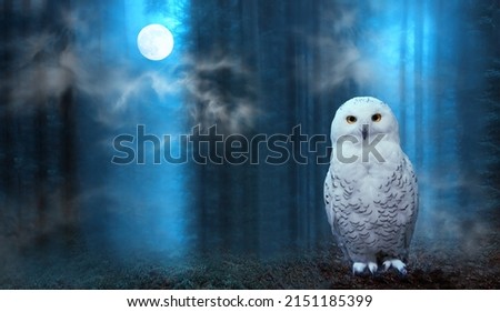 Funny polar halloween owl perch on moss-covered ground on magic dark forest background with mystery smoke and moon. Arctic white owl with yellow eyes close up. Predatory bird in wild nature habitat 