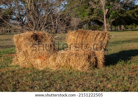 Scenery with hay bales in the middle of a natural field. To take pictures