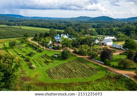 An aerial view of rural ranch with planted field near to a dense forest in bright sunlight Royalty-Free Stock Photo #2151235693